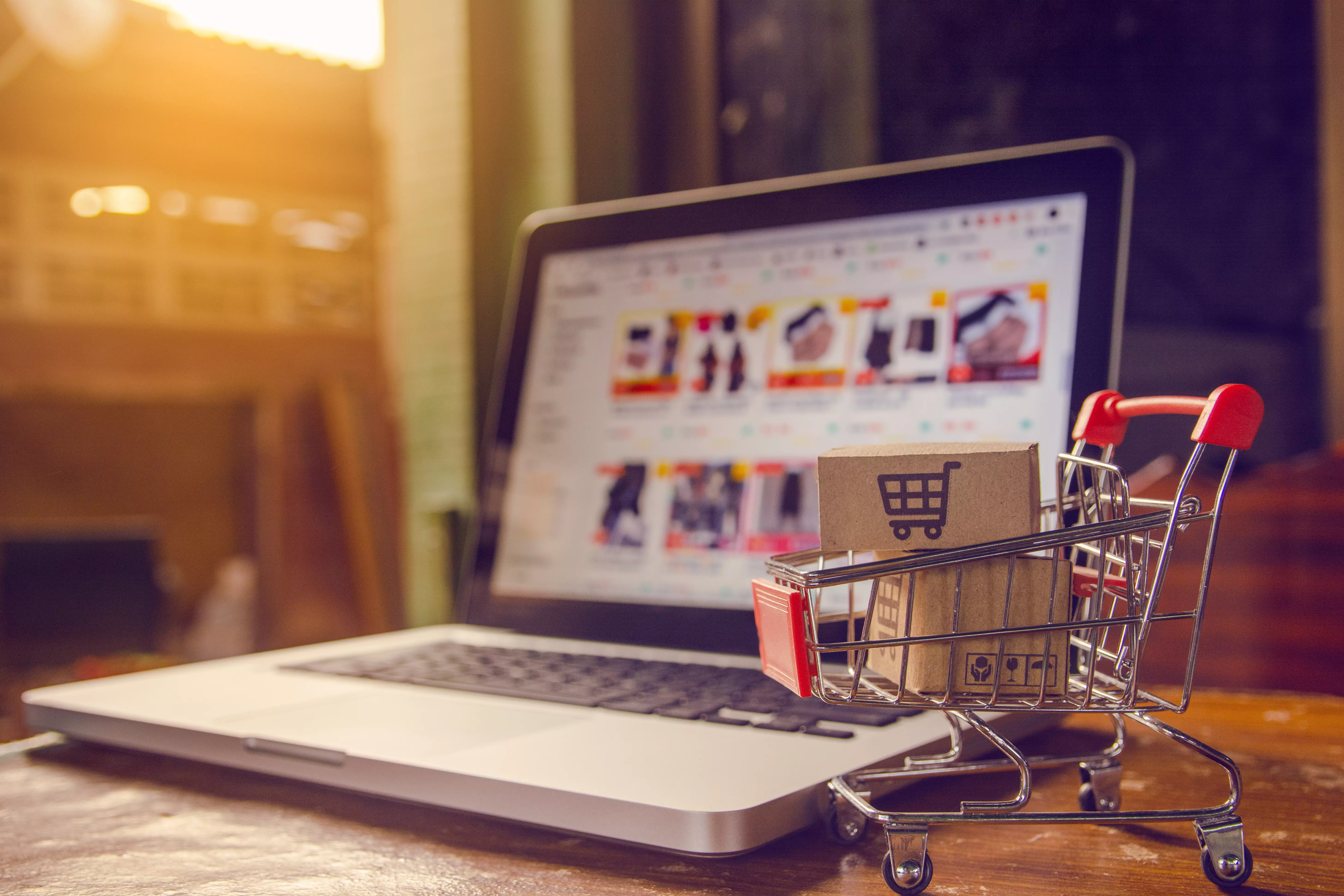 E-commerce Websites